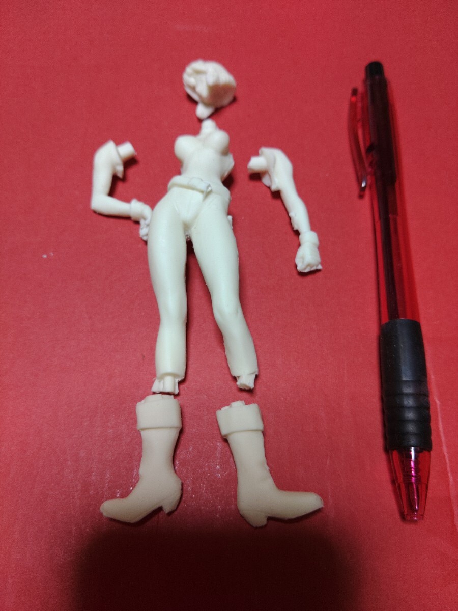 攻殻機動隊 ガレキ プラモデル ガレージキット 士郎正宗 攻殻機動隊 ガレキ プラモデル ガレージキット 士郎正宗