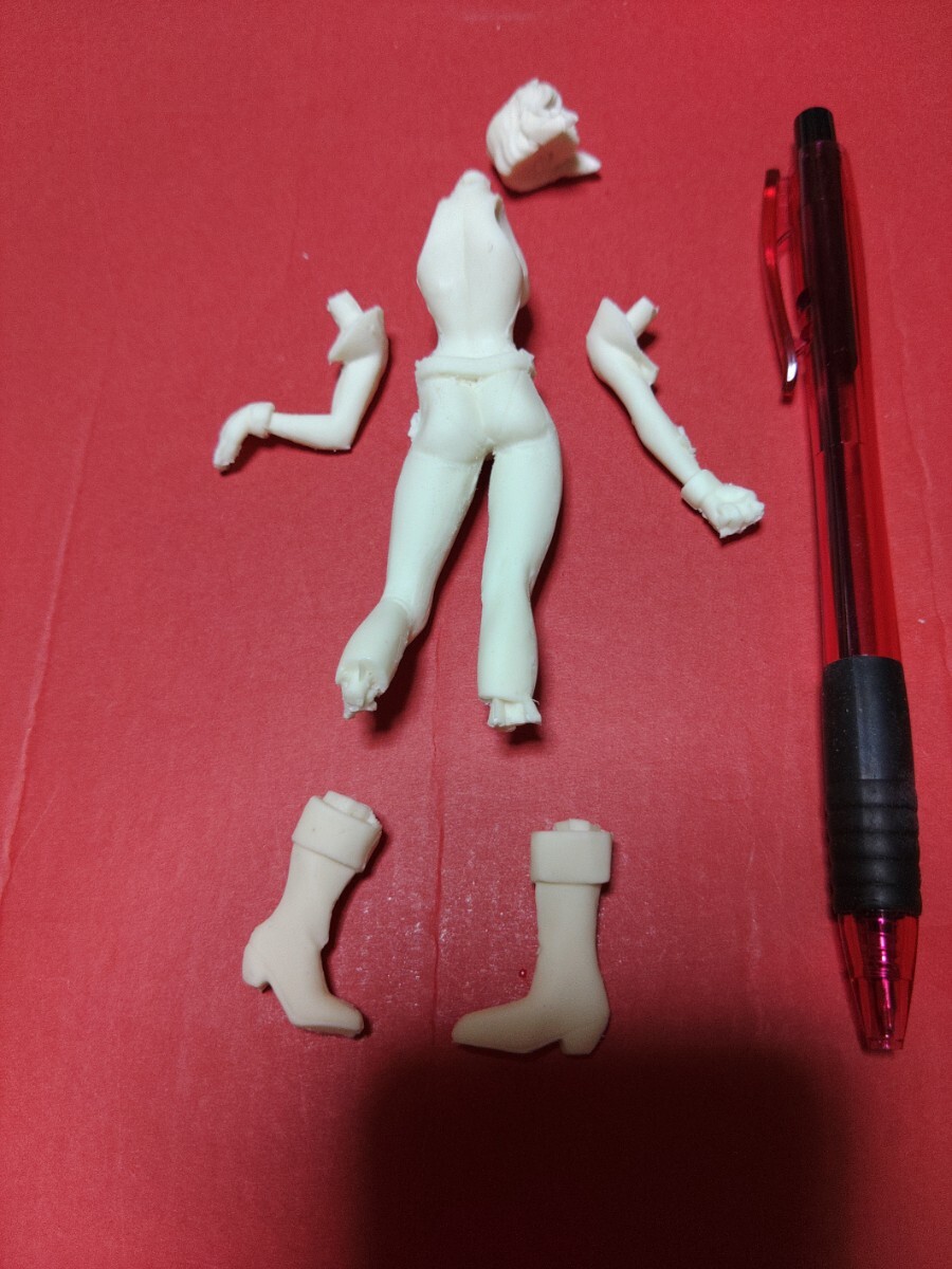 攻殻機動隊 ガレキ プラモデル ガレージキット 士郎正宗 攻殻機動隊 ガレキ プラモデル ガレージキット 士郎正宗