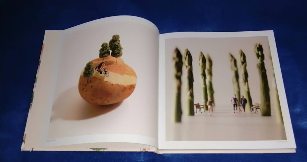 ●●　SMALL WONDERS　Tatsuya Tanaka　田中達也　ミニチュア写真集　2017年発行　DS02ｓ_画像3