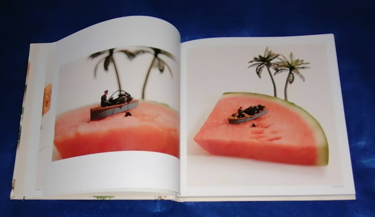 ●●　SMALL WONDERS　Tatsuya Tanaka　田中達也　ミニチュア写真集　2017年発行　DS02ｓ_画像4