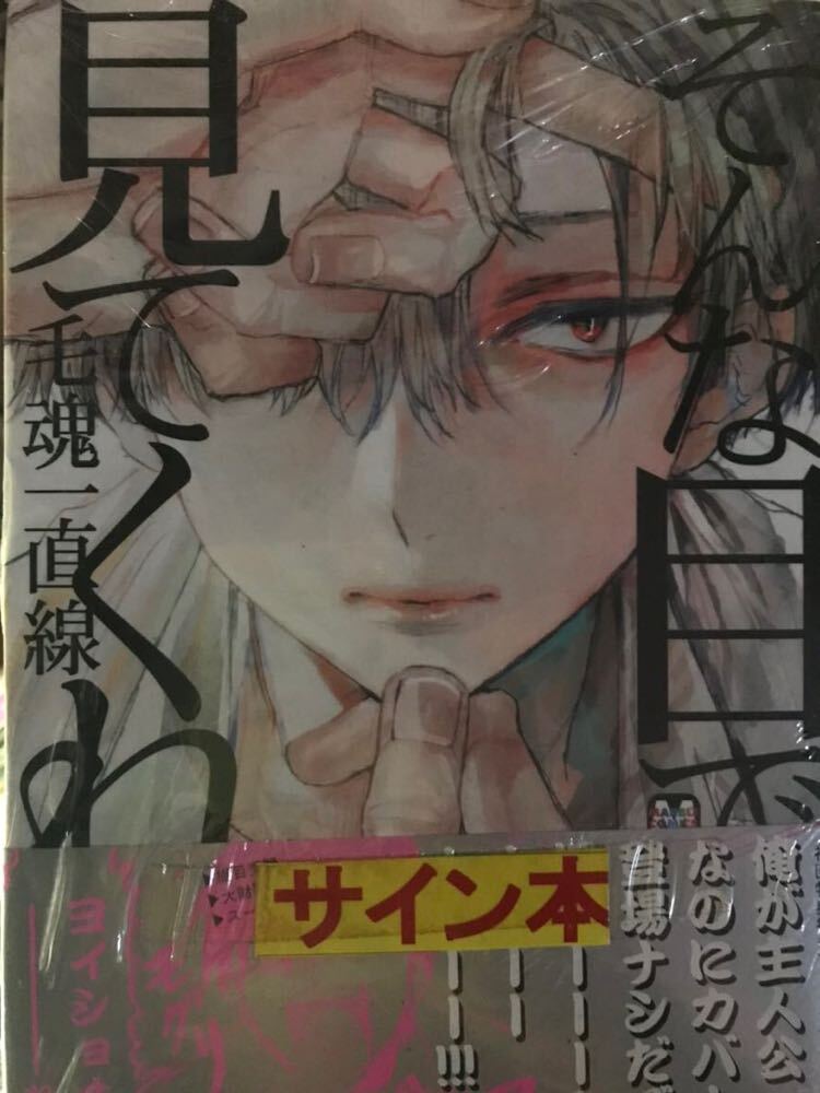 17000円 SHOOWA 額装複製原画 SHOOWA先生直筆サイン・シリアル 17000円 SHOOWA 額装複製原画 SHOOWA先生直筆サイン・シリアル