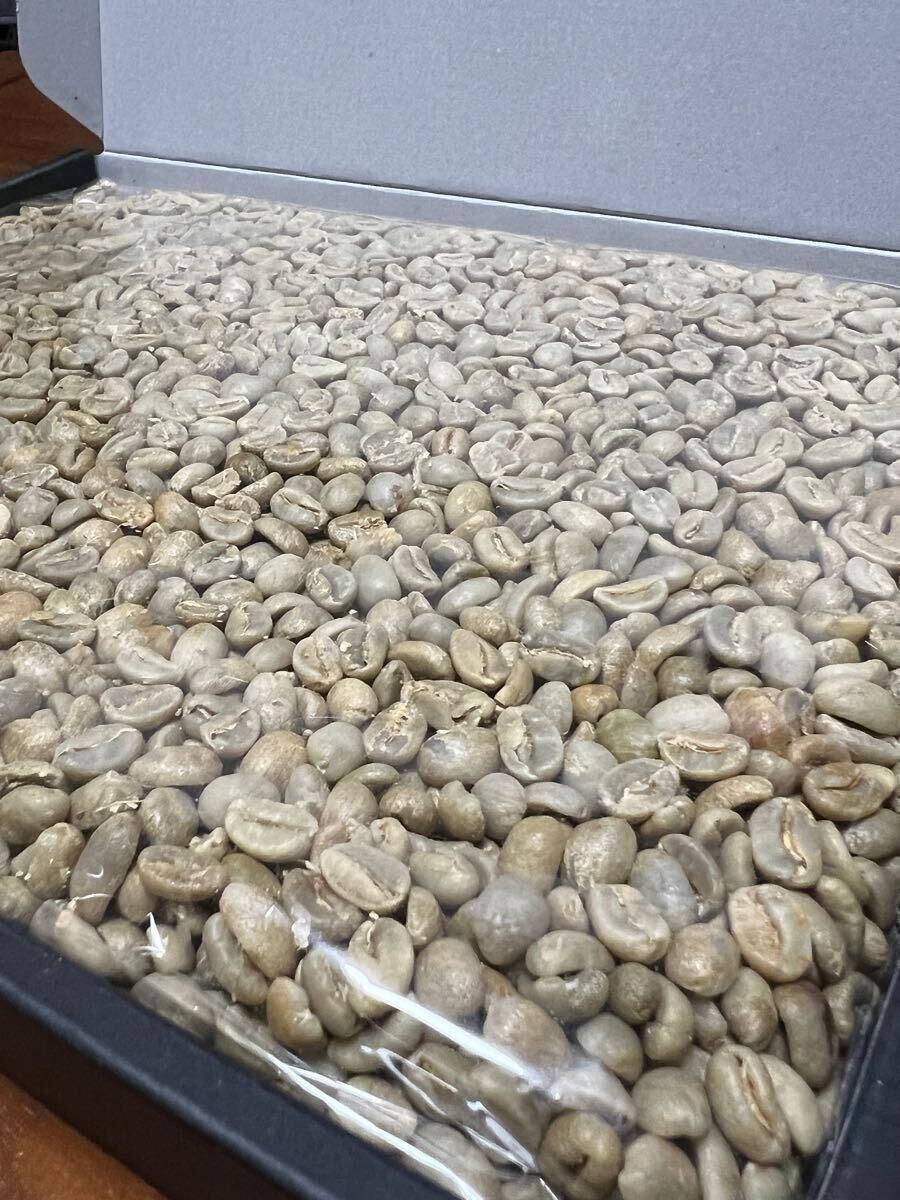 ①【コーヒー生豆】 1kg ペルー ブルーコンドル ウォッシュ ①【コーヒー生豆】 1kg ペルー ブルーコンドル ウォッシュ