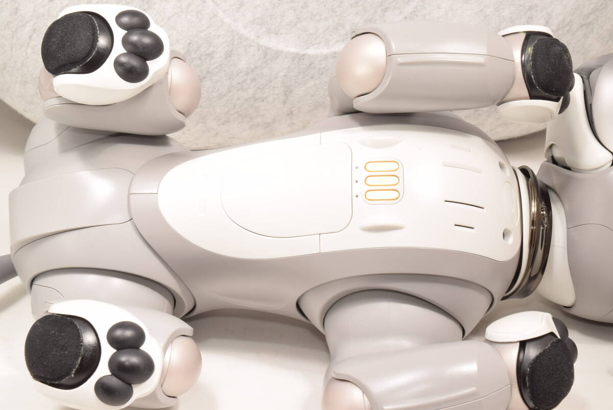 黒ゴマ ソニー アイボ ERS-1000 アイボーン ボール AIBO 犬型 黒ゴマ ソニー アイボ ERS-1000 アイボーン ボール AIBO 犬型
