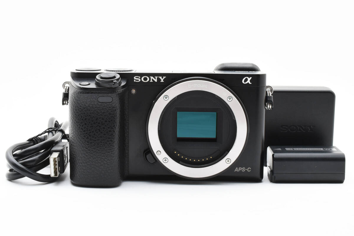 本日限定価格！SONY α6000 付属品多数 ILCE-6000L一眼カメラ