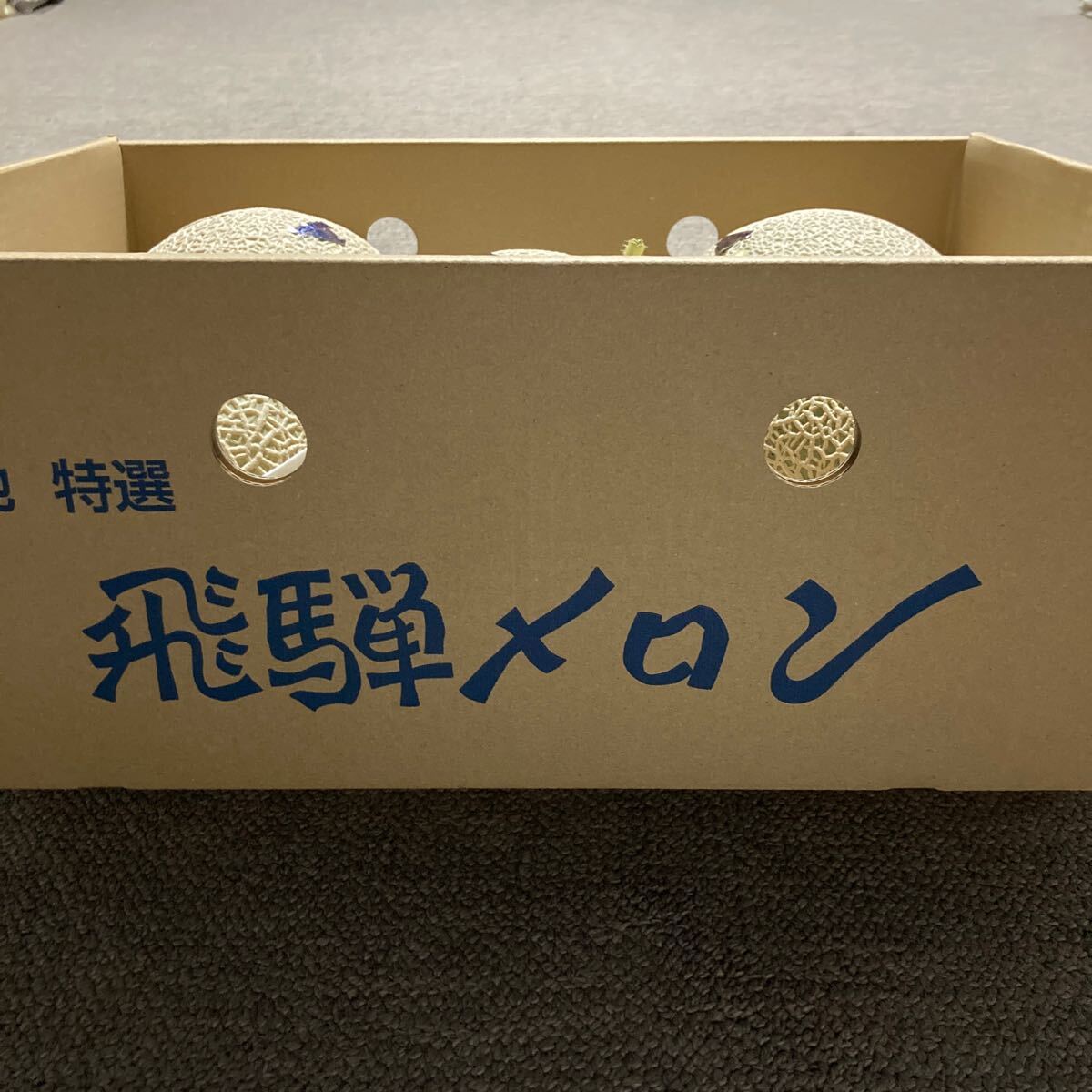 飛騨メロン　岐阜県産　