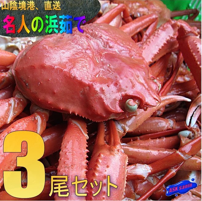 【整体】名人の 浜茹で蟹3尾で2kg位、境港直送!! .....「紅蟹AA600-800(3)」　　　　　