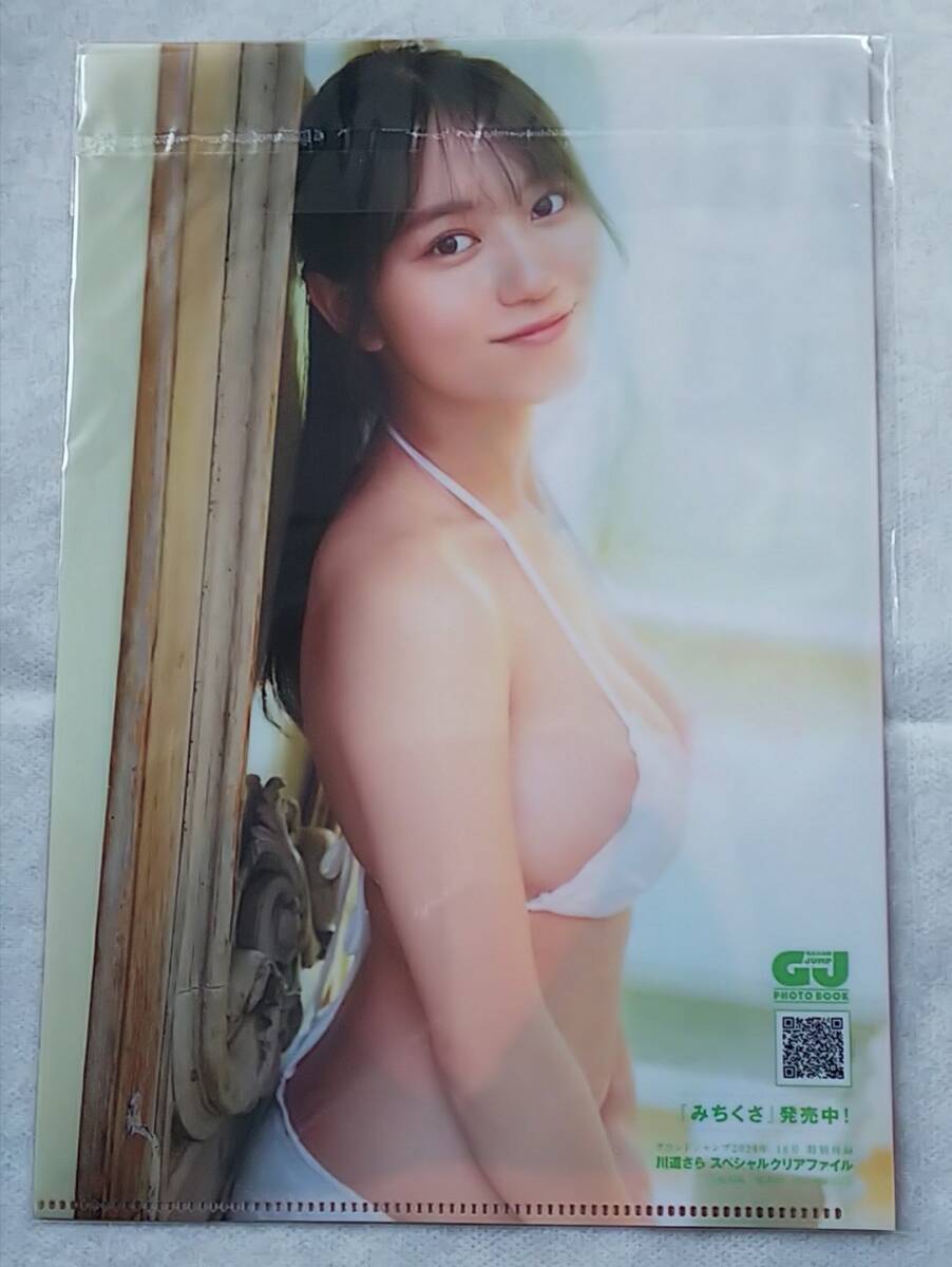 大切に、保管してありました、商品です。