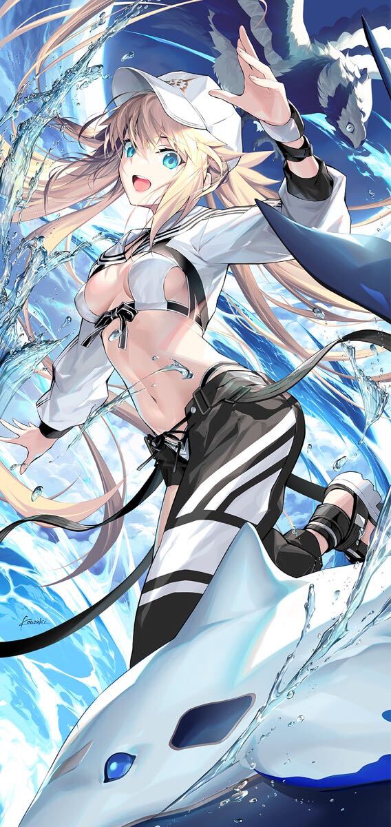Fate / Grand Order バサトリア等身大タペストリ 一① 光崎 Fate / Grand Order バサトリア等身大タペストリ 一① 光崎