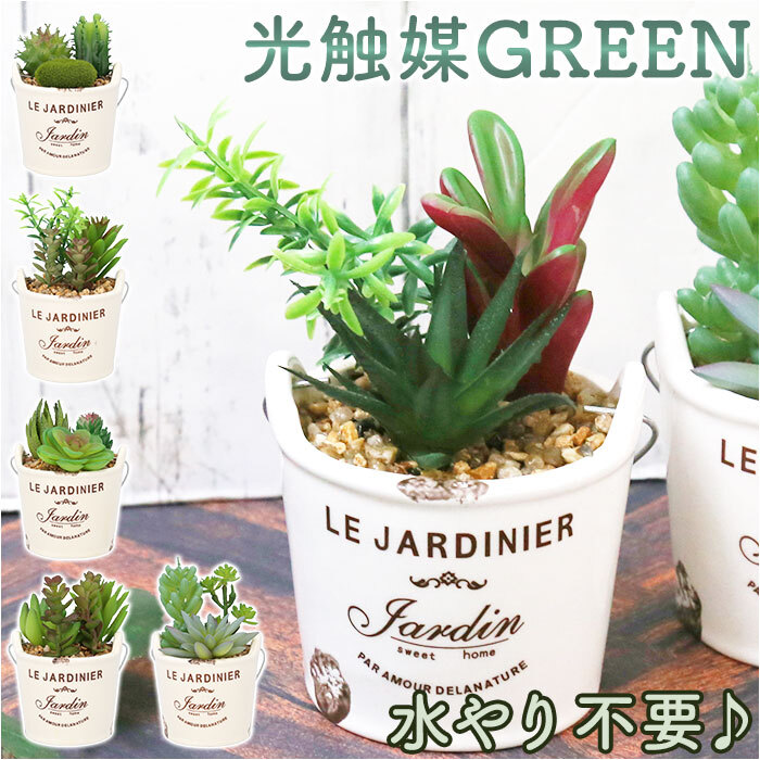 ☆ バケツE ☆ 光觸媒 バケツ 光觸媒 観葉植物 卓上 バケツ フェイクグリーン ミニ おしゃれ 造花 ギフト プチギフト 贈り物 かわいい 消臭