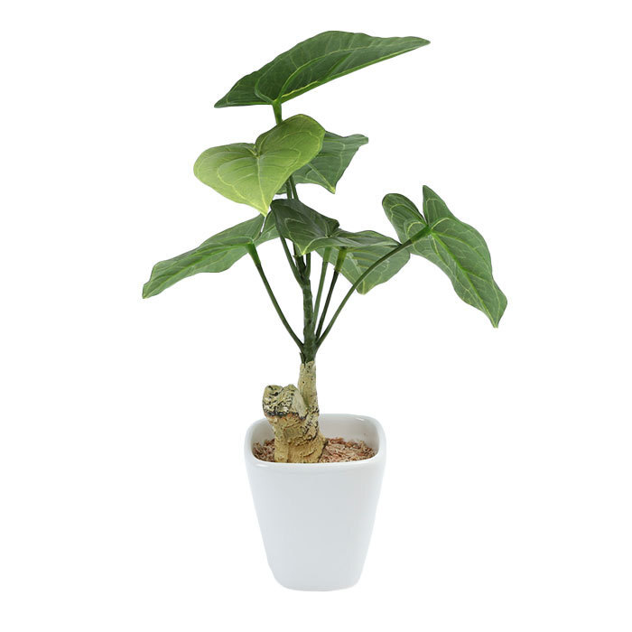 ☆ コーデックス.BK 光觸媒 フェイクグリーン 通販 壁掛け イミテーショングリーン おしゃれ 壁 インテリアプランツ 消臭 抗菌 グリーンブ