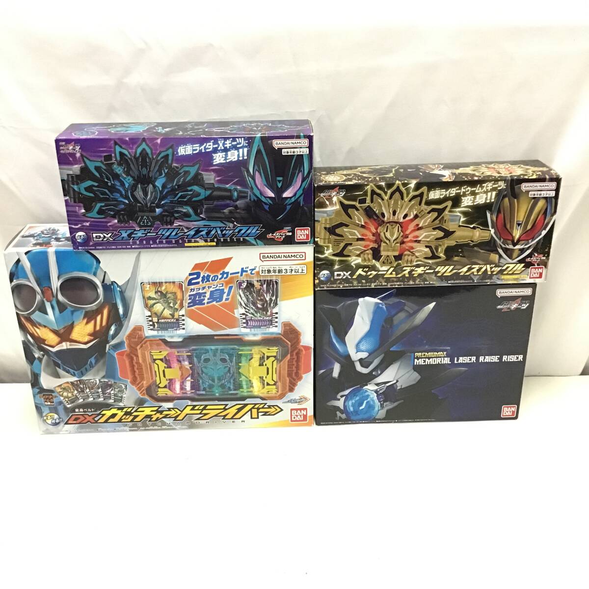 P,Hillii cv Dragon ヒーリードラゴン株分け品 最後の一株です