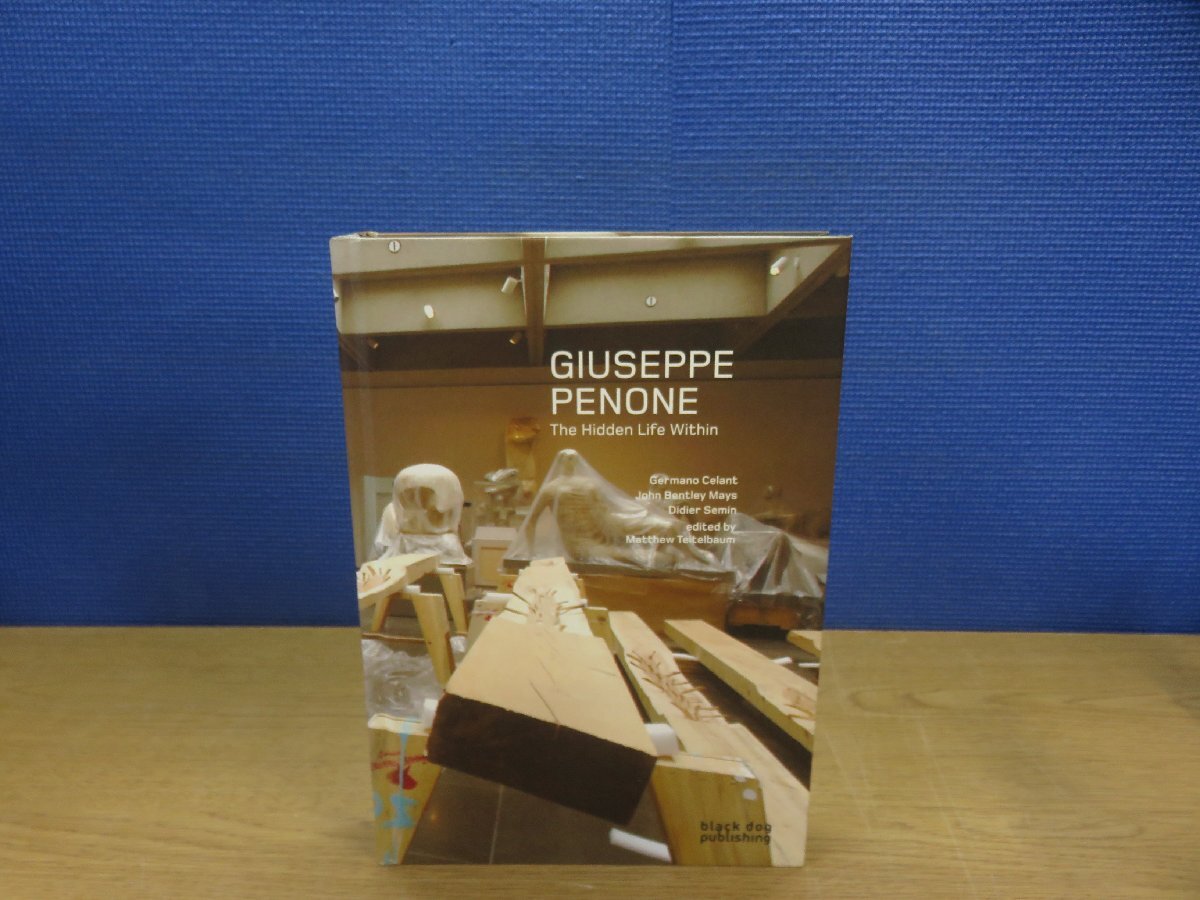 完璧すぎるが故三度も 【図録】Giuseppe Within《洋書》 Life Hidden The Penone: 図録