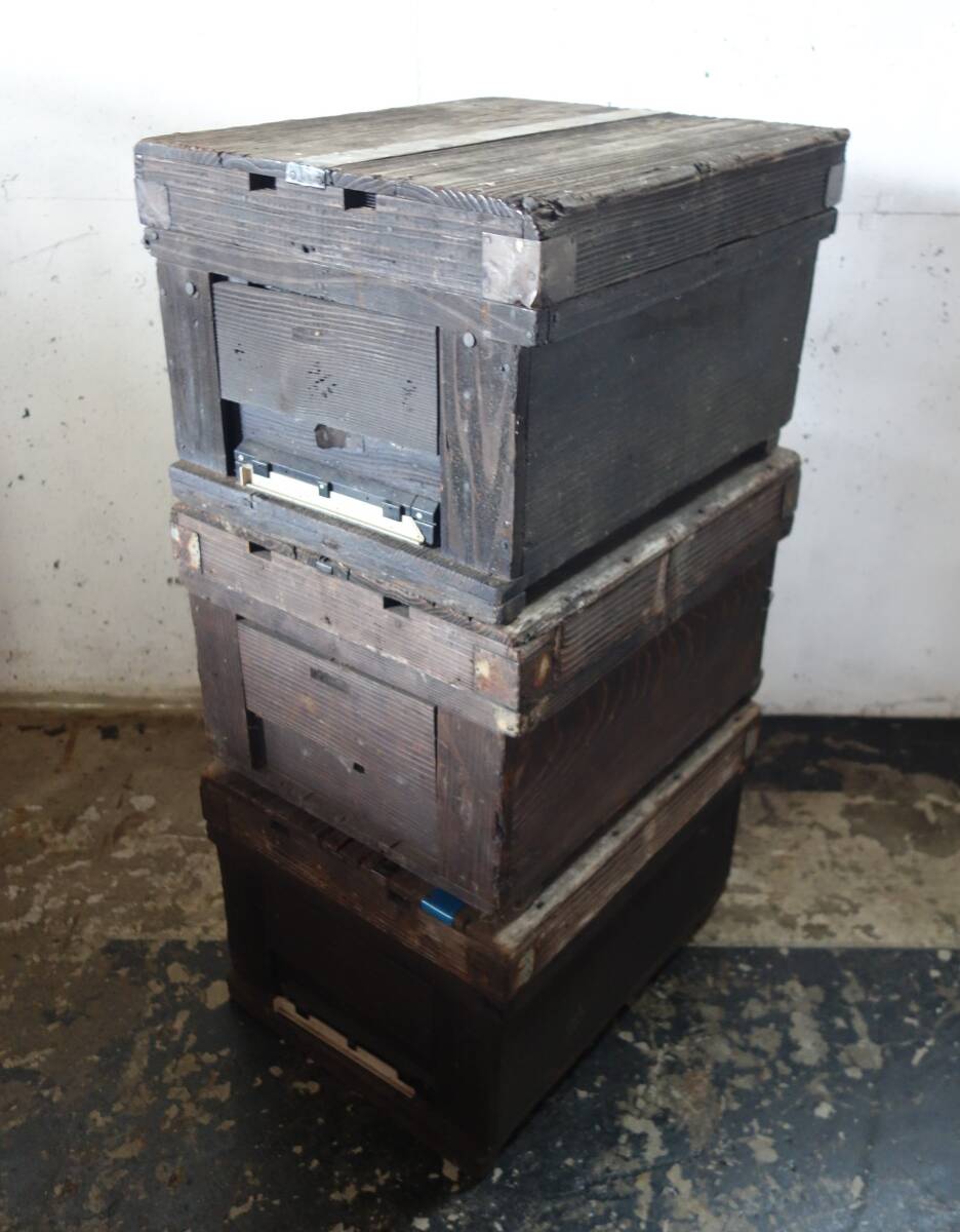 レトロ　古道具 当時物 ＊養蜂　飼蜂　巣箱　飼育箱　 　大型木製箱　三箱　 ＊ミツバチ　蜜蜂　飼育　繁殖 ＊天然木製　扉一部分プラ