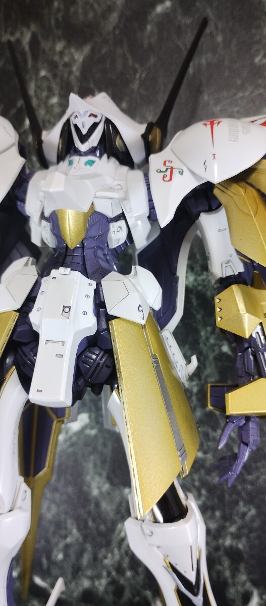 VOLKS FSS IMS 1/100 SHPERTOR K.O.G. =BOTH 2989= HIARAKI VOLKS FSS IMS 1/100 SHPERTOR K.O.G. =BOTH 2989= HIARAKI