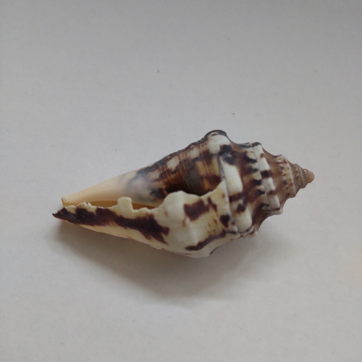 item_image_7