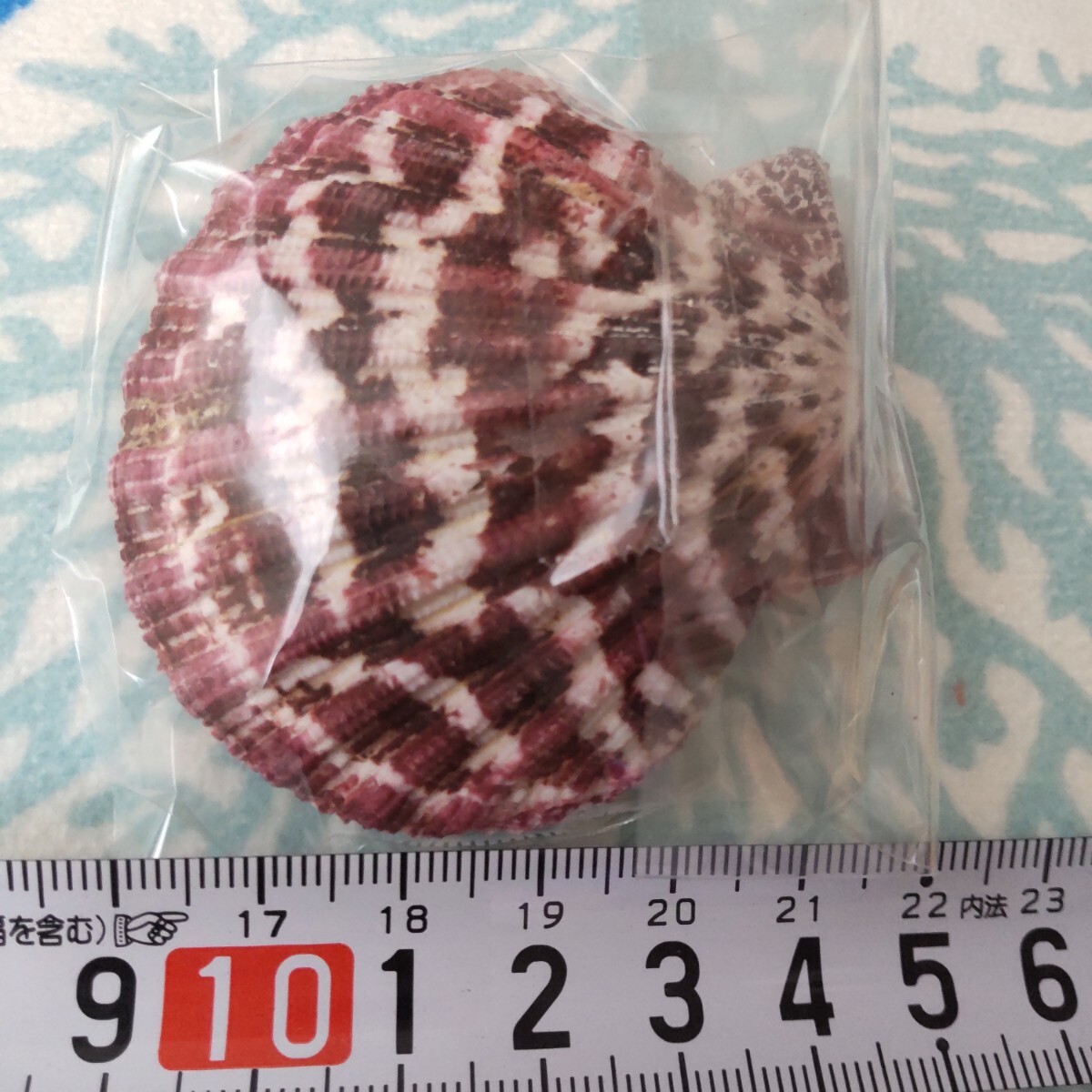 item_image_7