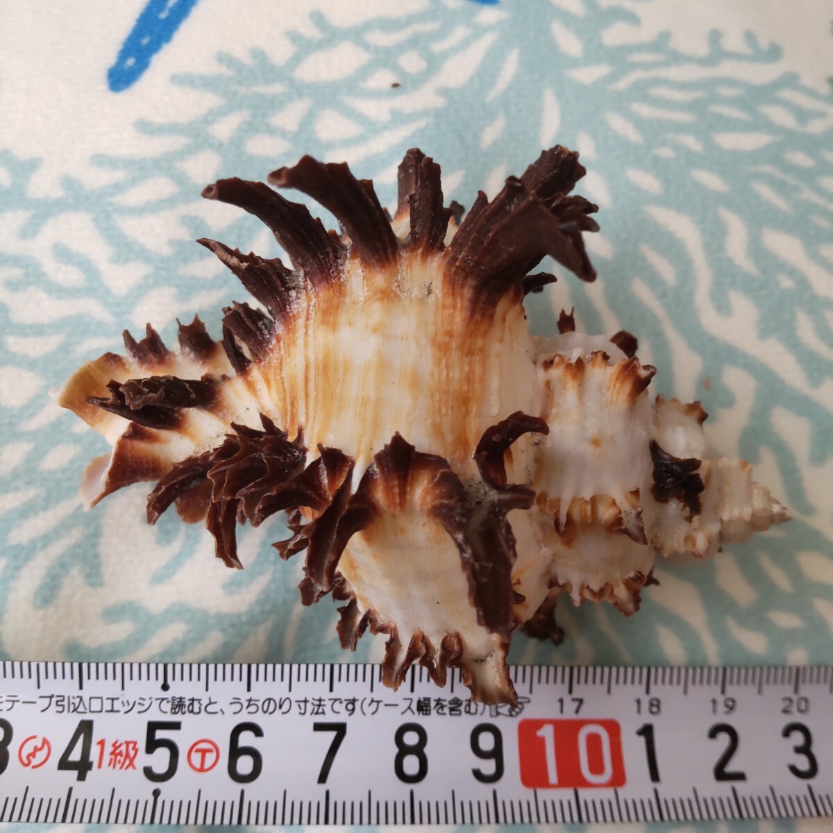 item_image_7