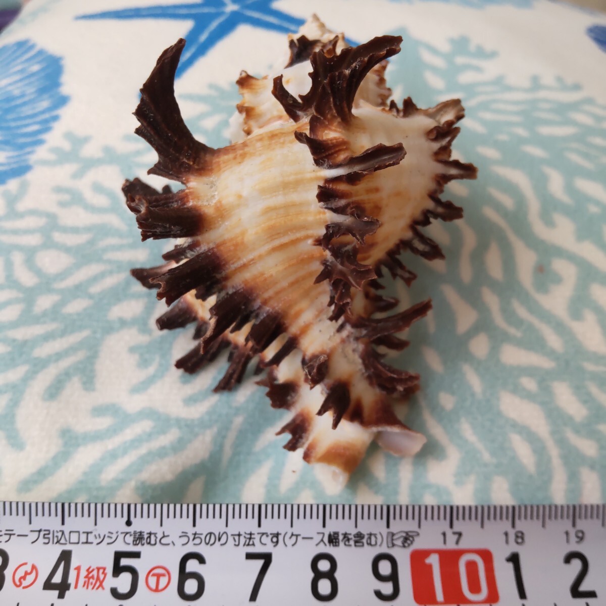 item_image_8