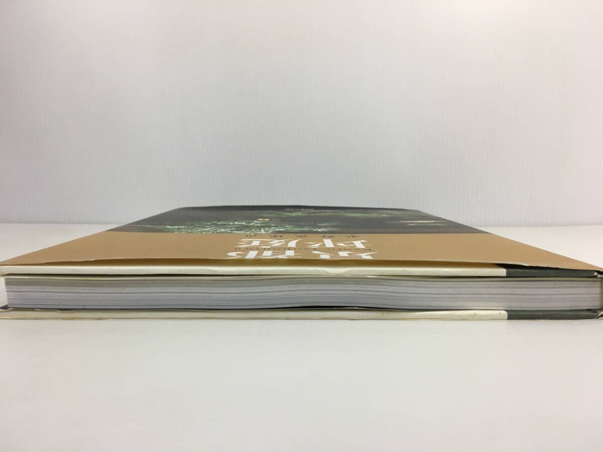 京都 坪庭　水野克比古　光村推古書(shū)院　【D-03】