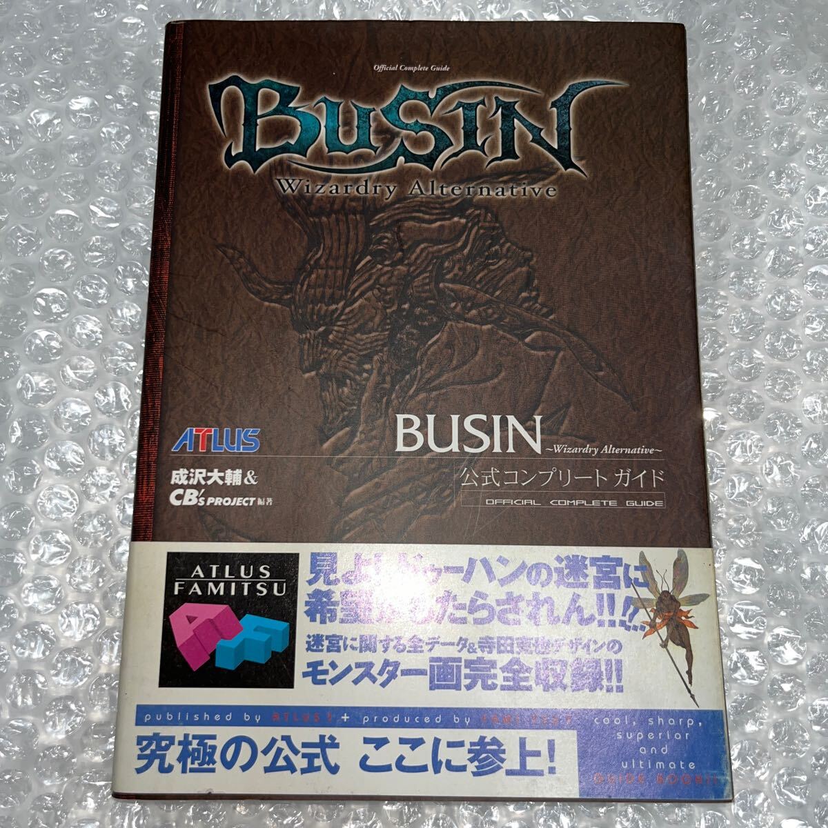 BUSIN Wizardry Alternative　公式コンプリートガイド