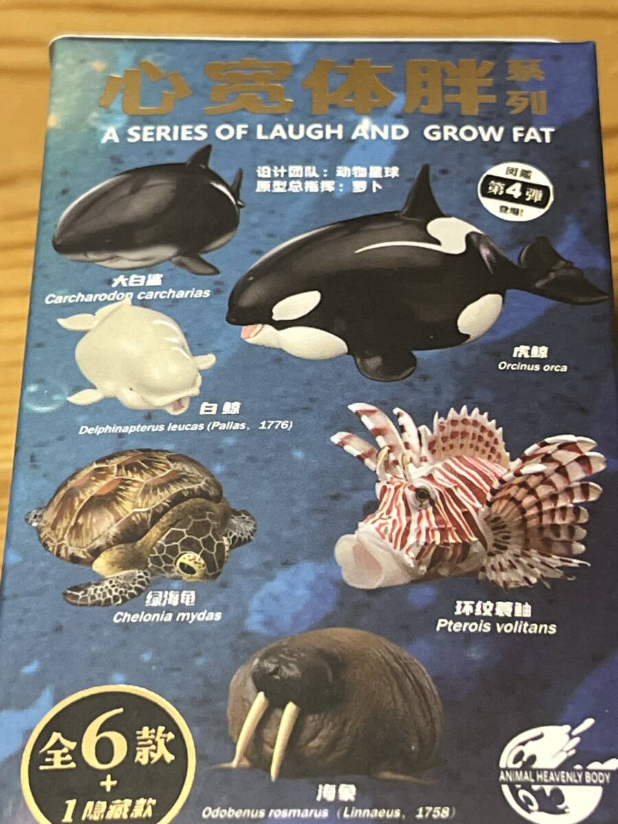 動物の惑星 ノーマル6種セット 新品未開封BOX入り アオウミガメ 動物の惑星 ノーマル6種セット 新品未開封BOX入り アオウミガメ