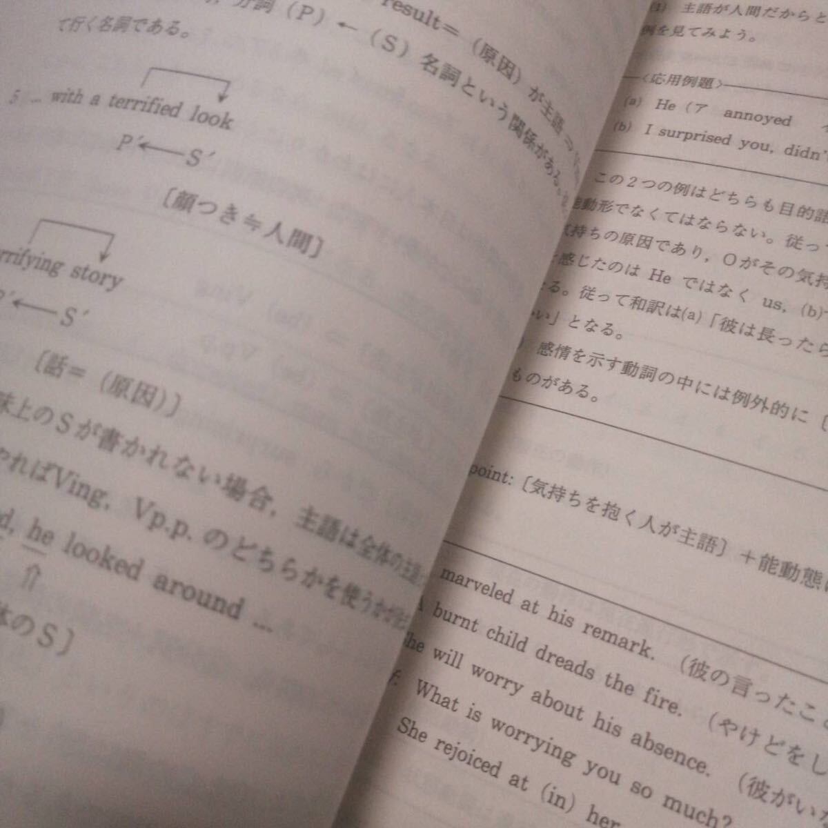 ○代ゼミテキスト 英語解法研究 読解編 二学期 富田一彦 代々木