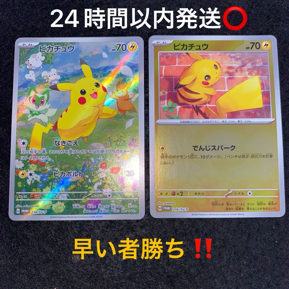 ポケモンカード ピカチュウ プロモ 夏がきた 2枚セット ポケモンカードゲーム〜ポケカの夏がキタ プロモーションカード