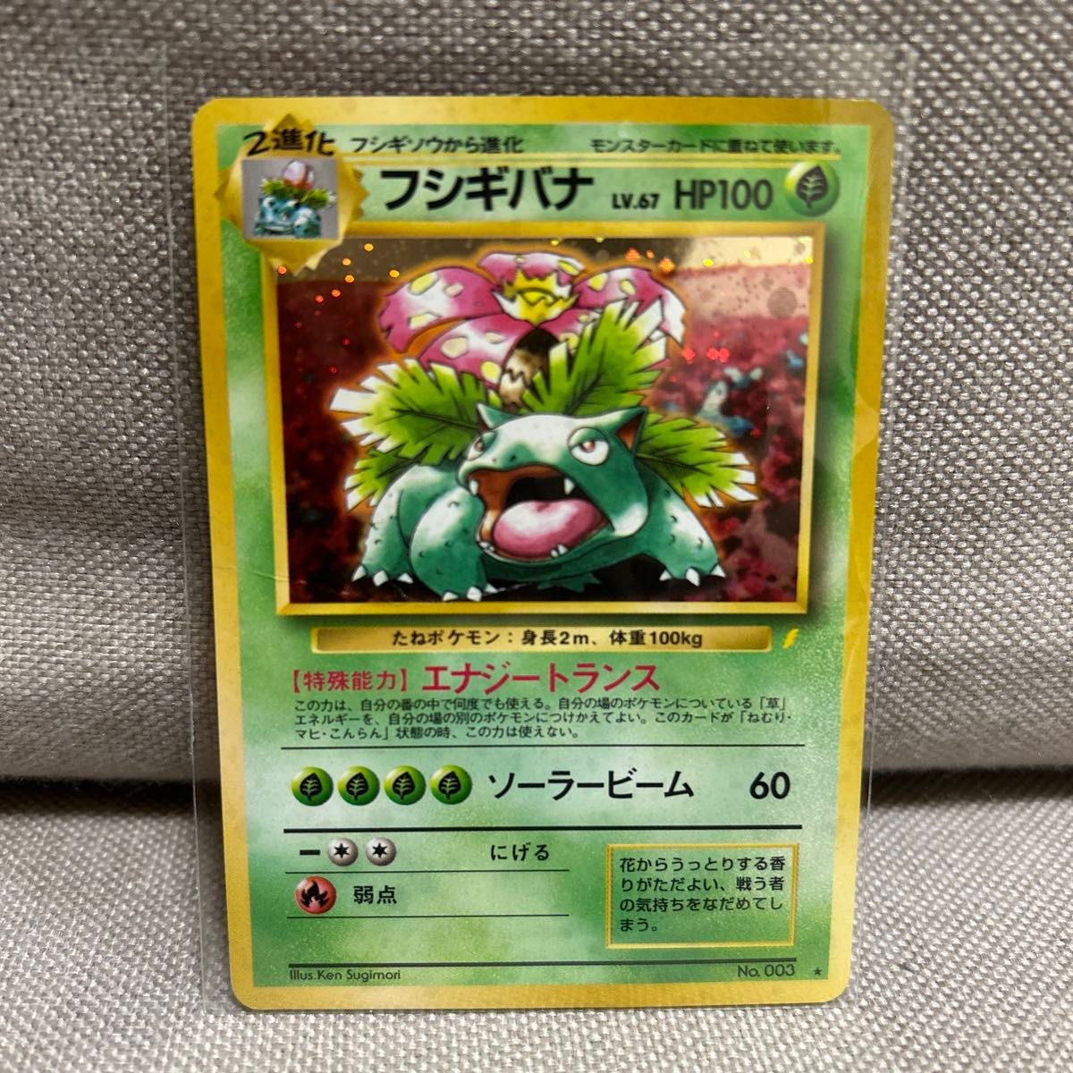 ポケモンカードゲーム フシギバナ 旧裏 マークあり 旧裏面 ポケカ