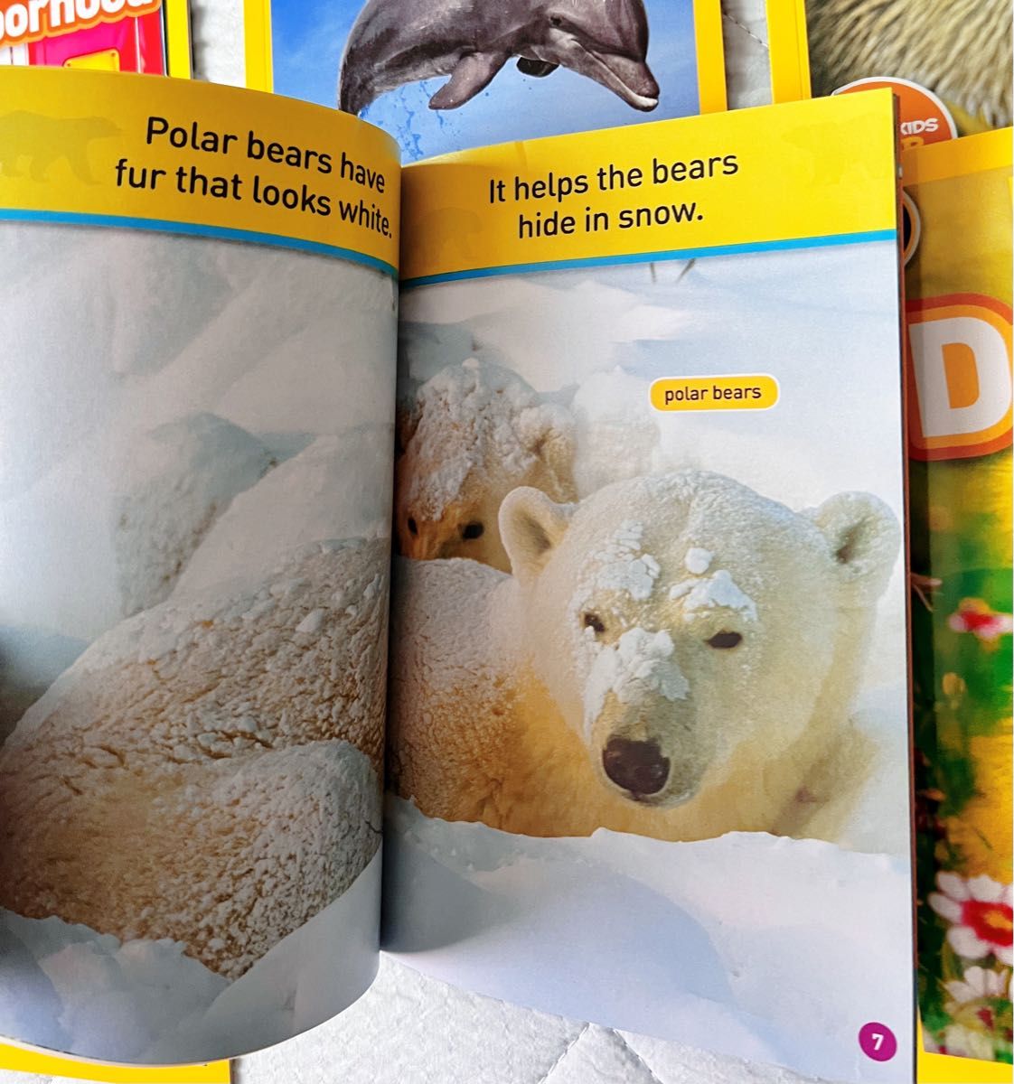 National Geographic Kids Pre-reader 30册 絵本 英語 教材