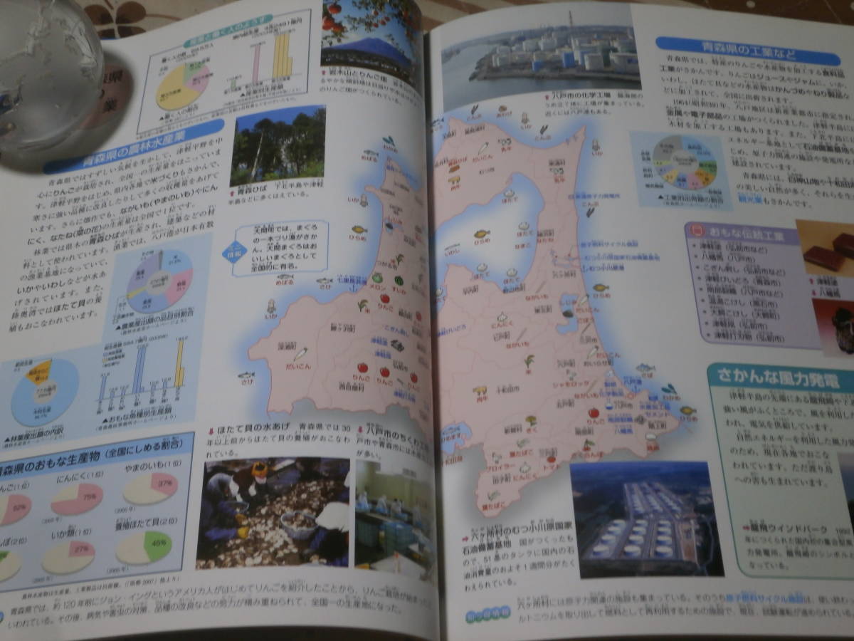 地理　旧版　2007年版　都道府県別日本の地理データマップ〈2〉「北海道・東北地方」　2008年第5刷　SJ12_画像4