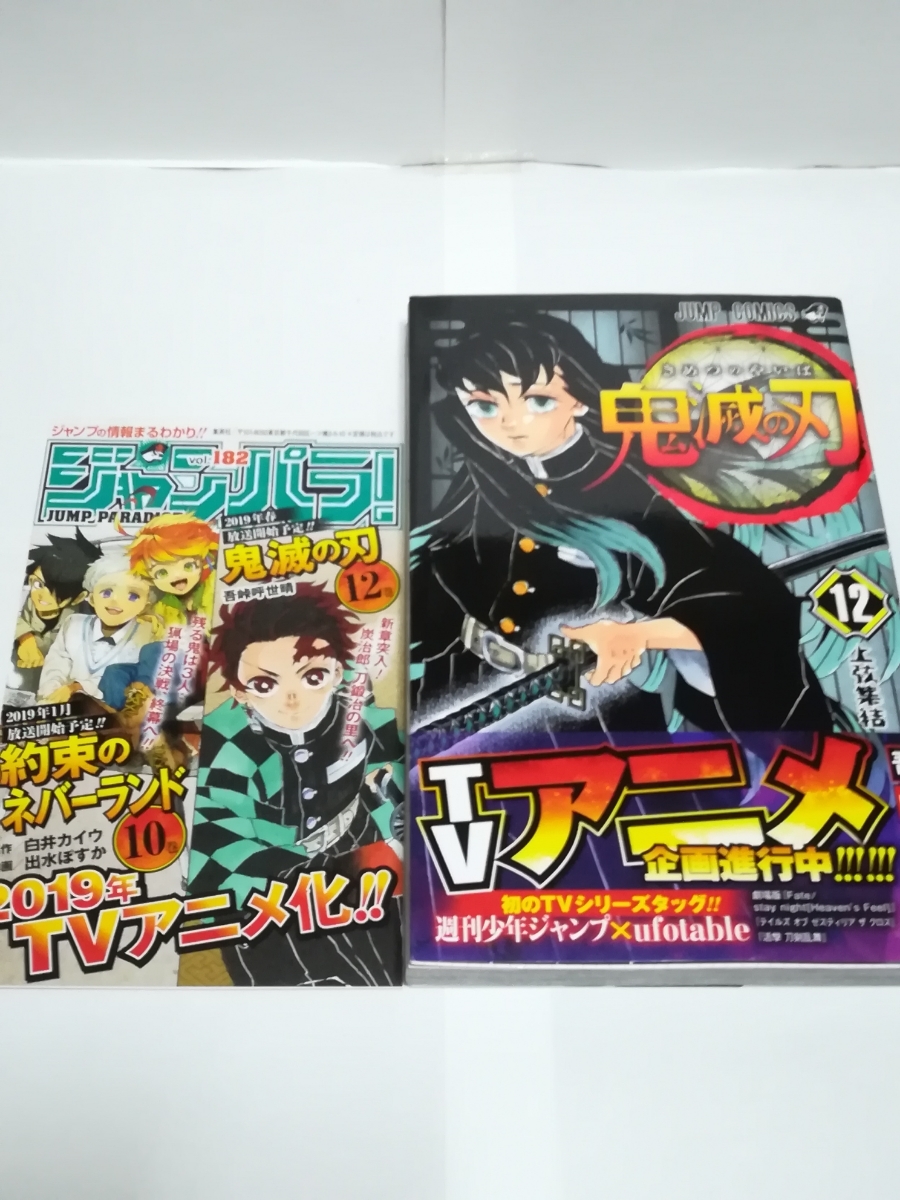 初版 帯付き 鬼滅の刃 12巻 ジャンパラ あり 第1刷 ジャンプ コミック 漫画 単行本 時透無一郎_画像1