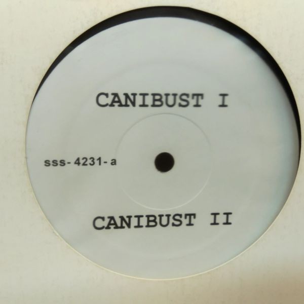 12inchレコード　 CANIBUS / CANIBUST II_画像1