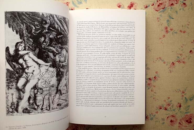 46269/驚異の部屋 ヴンダーカンマー 所蔵作品集 Naturalia et Mirabilia Wunderkammern d'Europa 珍品 絵画 美術工芸品 博物史 博物館 アート・エンターテインメント 46269/驚異の部屋 ヴンダーカンマー 所蔵作品集 Naturalia et Mirabilia Wunderkammern d'Europa 珍品 絵画 美術工芸品 博物史 博物館 アート・エンターテインメント