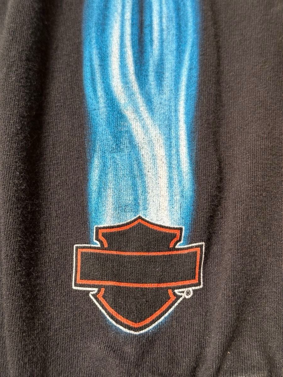 激レア】ハーレーダビッドソン ブルーフレイム ロングTシャツ 激レア】ハーレーダビッドソン ブルーフレイム ロングTシャツ