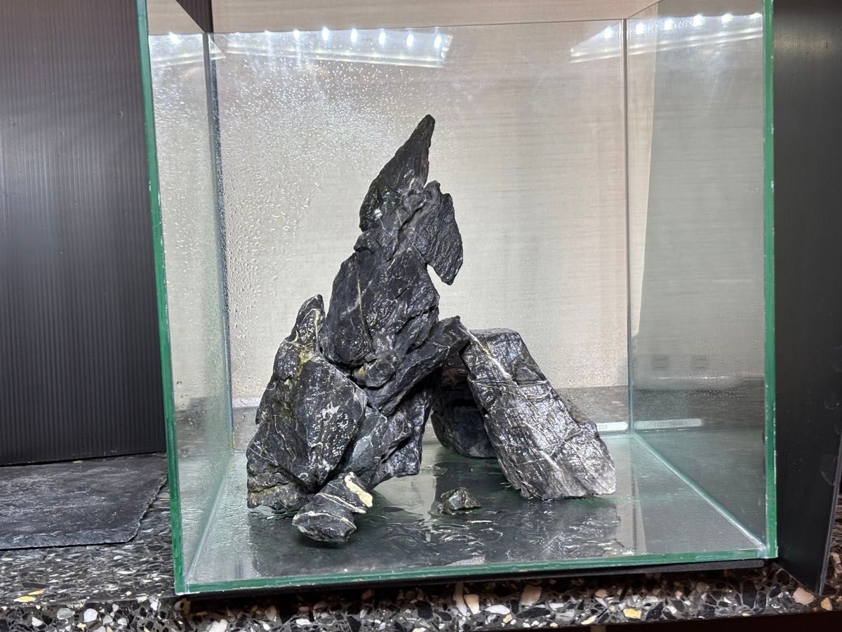 ADA 龍王石 レイアウト 石組 親石付 清流石 青龍石 水槽 ADA 龍王石 レイアウト 石組 親石付 清流石 青龍石 水槽