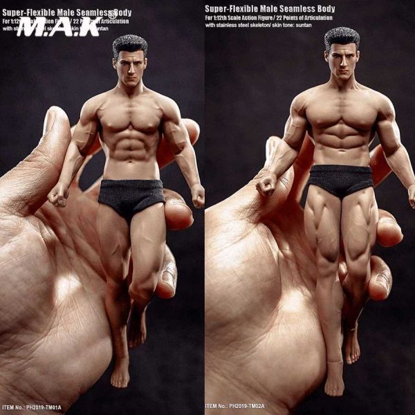  figure muscle quality man body Bill sporty Dan ti- Professional Wrestling TM01A A088