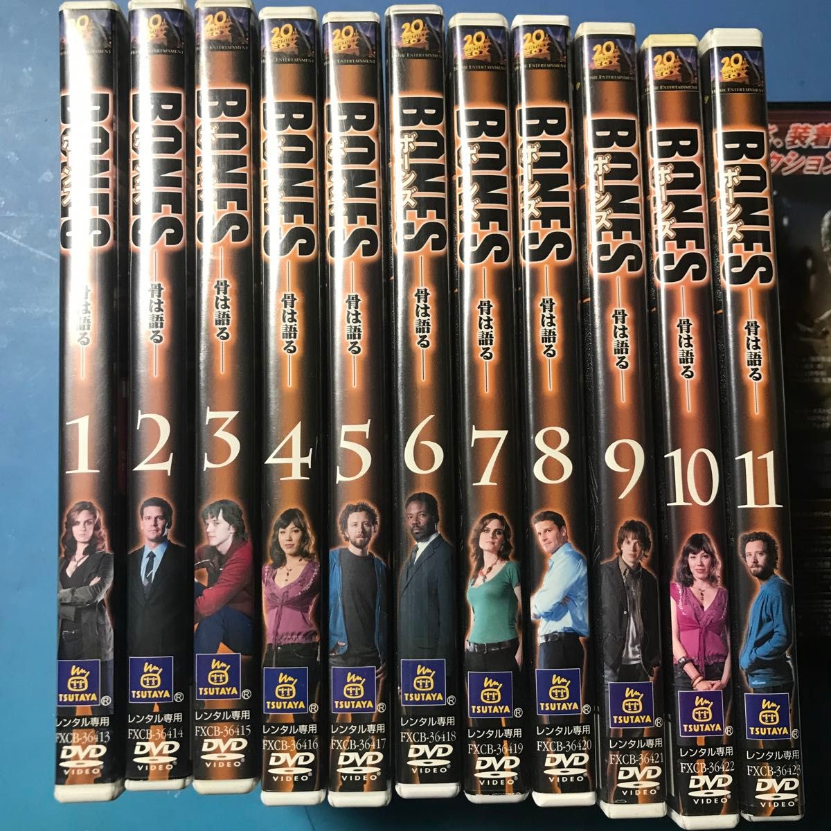 BONES ボーンズ 骨は語る シーズン1 11巻セットDVD|Yahoo BONES ボーンズ 骨は語る シーズン1 11巻セットDVD|Yahoo