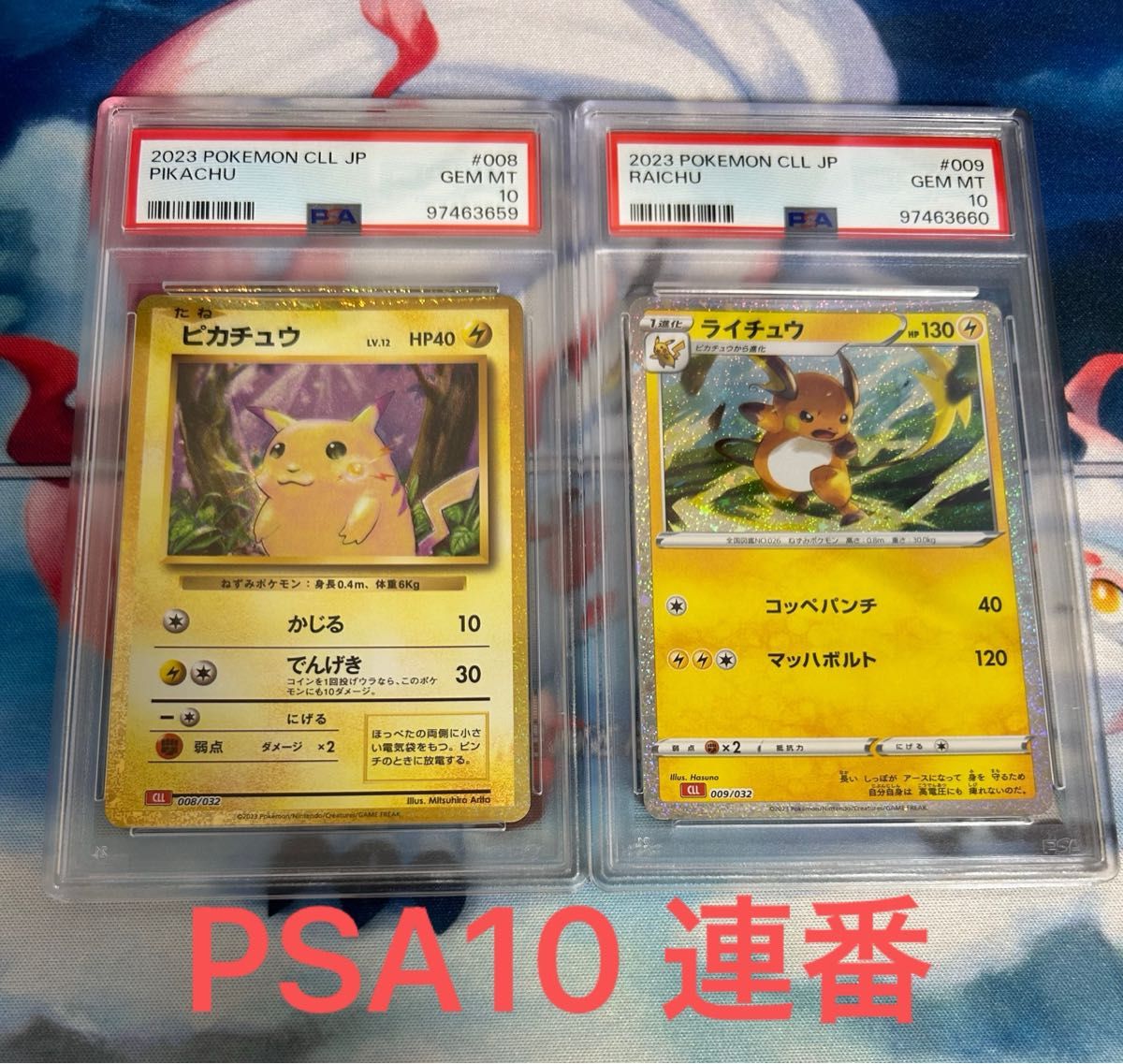 PSA10 連番 ピカチュウ ライチュウ クラシック CLASSIC ポケカ PSA10 連番 ピカチュウ ライチュウ クラシック CLASSIC ポケカ