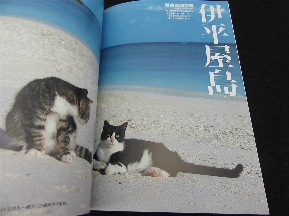  magazine [ cat ...2019 year 9 month number ] # sending 120 jpy special collection :. peace. cat ..0