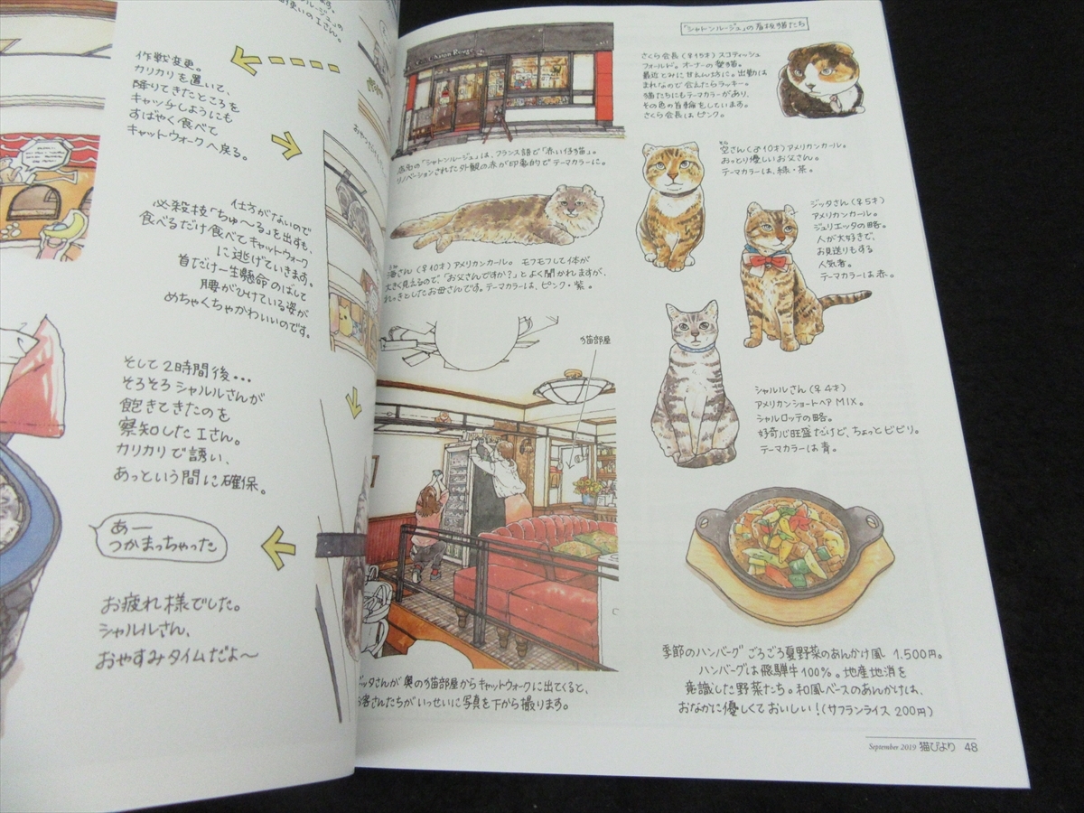  magazine [ cat ...2019 year 9 month number ] # sending 120 jpy special collection :. peace. cat ..0