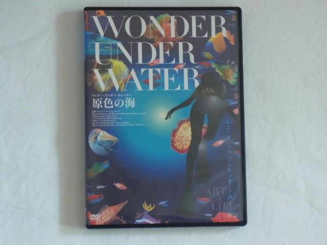  wonder * under * water WONDER UNDER WATERreni*li fender *shu tar [ meaning .. . profit ][ race. festival .]. photographing did legend. artist 