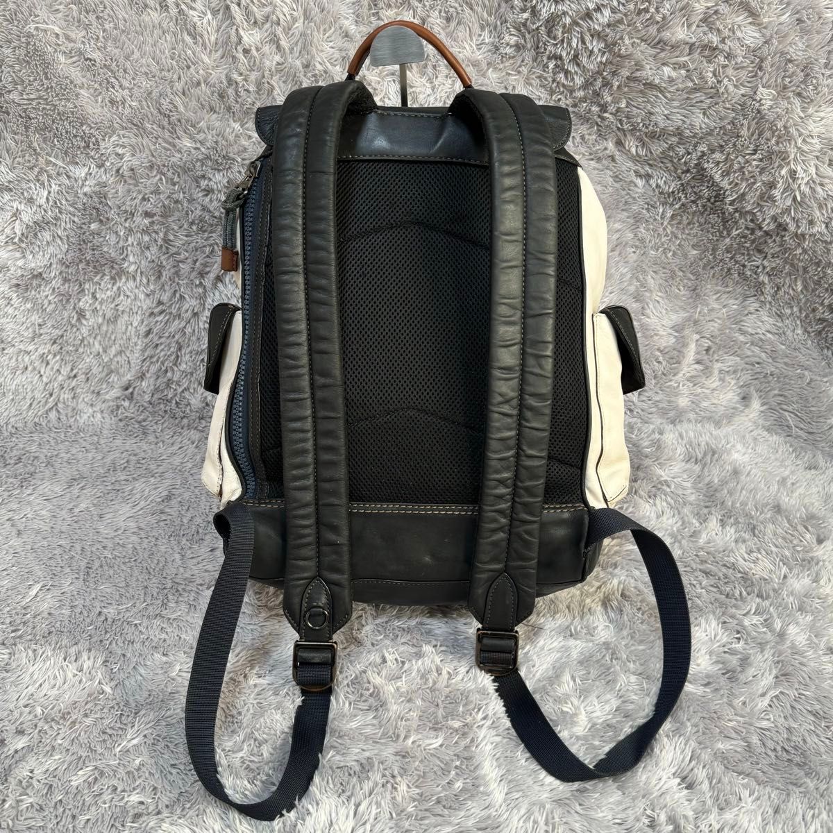 COACH コーチ リビングトン オールレザー バックパック リュック COACH コーチ リビングトン オールレザー バックパック リュック