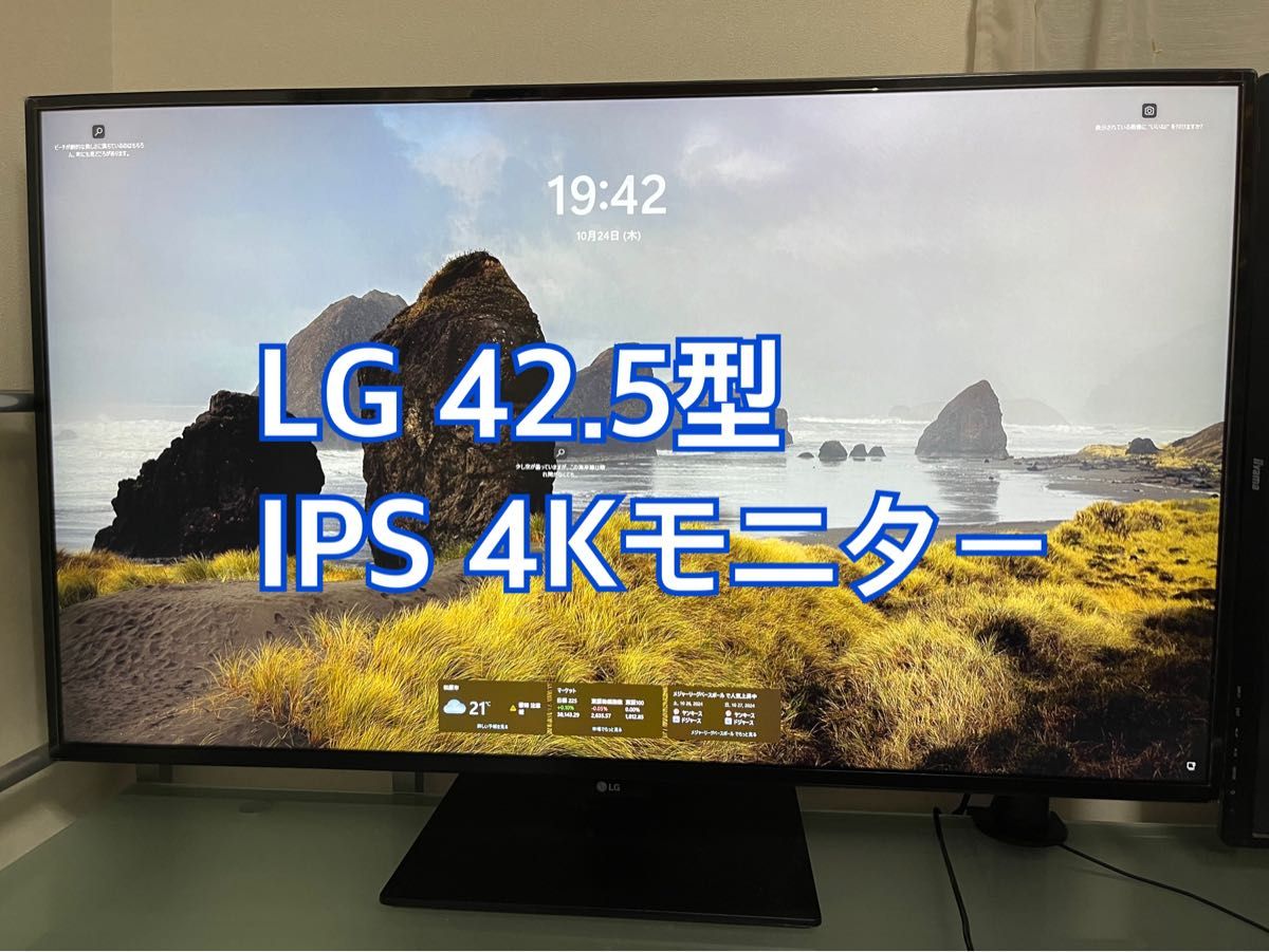 42.5型 IPS 4Kモニター LG 43UD79-B