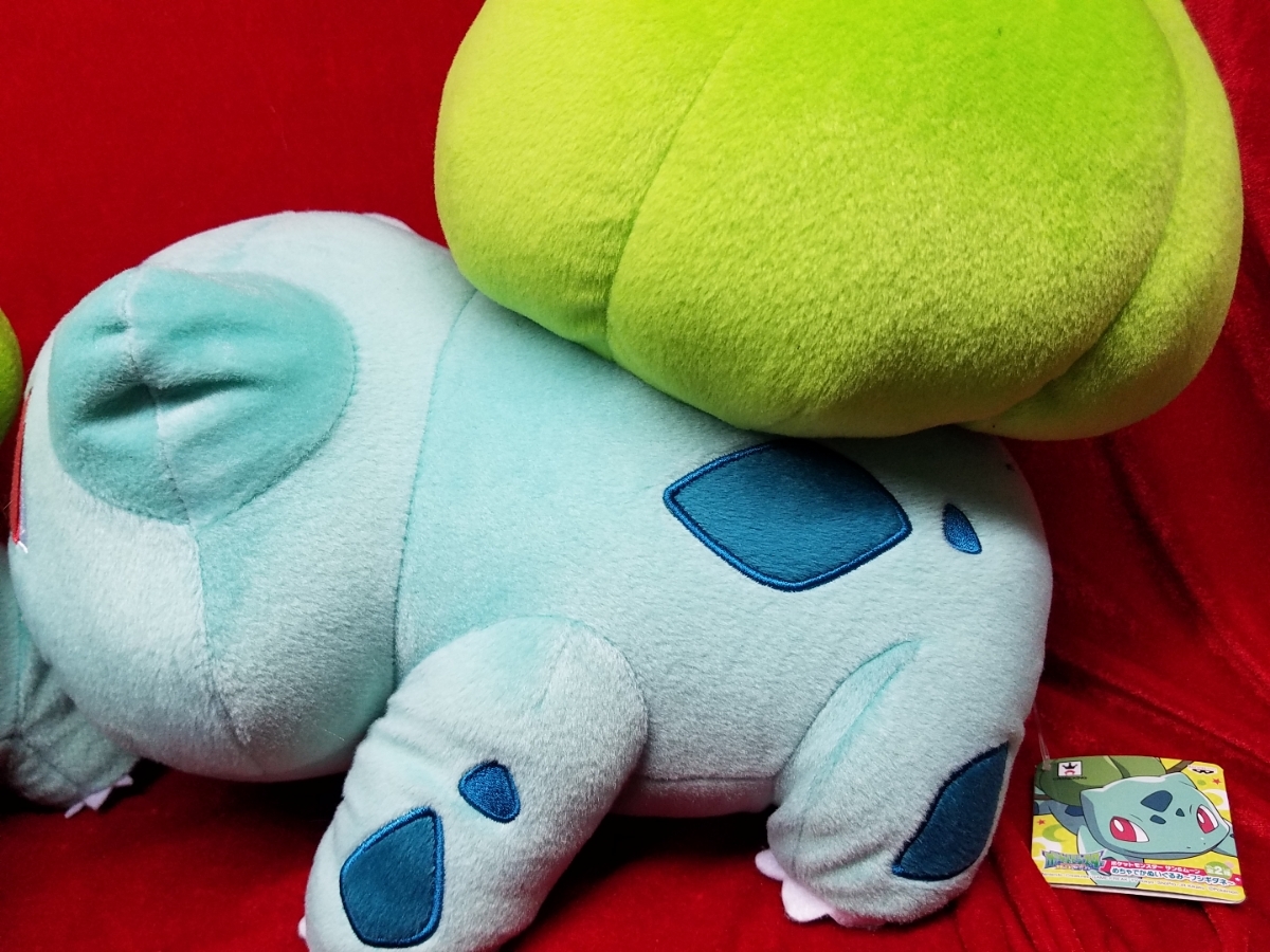 Paypayフリマ ポケモン フシギダネ ぬいぐるみ 2種 ボールチェーン付ぬいぐるみ ストラップ ポケットモンスター Paypayフリマ ポケモン フシギダネ ぬいぐるみ 2種 ボールチェーン付ぬいぐるみ ストラップ ポケットモンスター