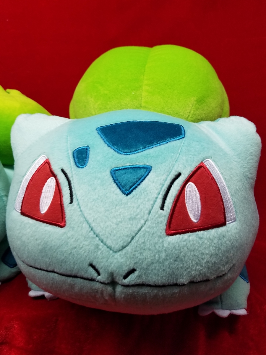 Paypayフリマ ポケモン フシギダネ ぬいぐるみ 2種 ボールチェーン付ぬいぐるみ ストラップ ポケットモンスター Paypayフリマ ポケモン フシギダネ ぬいぐるみ 2種 ボールチェーン付ぬいぐるみ ストラップ ポケットモンスター