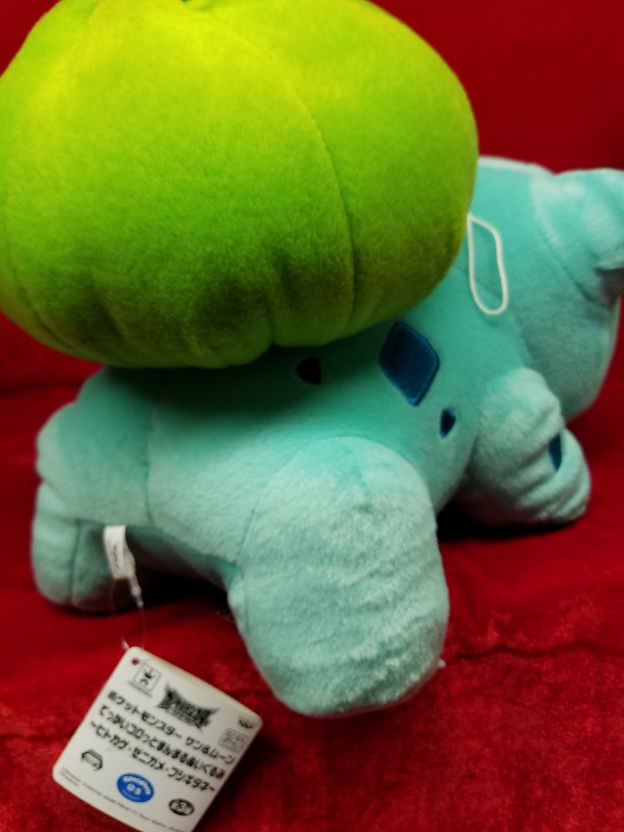 Paypayフリマ ポケモン フシギダネ ぬいぐるみ 2種 ボールチェーン付ぬいぐるみ ストラップ ポケットモンスター Paypayフリマ ポケモン フシギダネ ぬいぐるみ 2種 ボールチェーン付ぬいぐるみ ストラップ ポケットモンスター