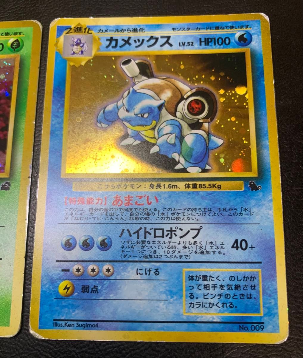 イントロパックセット(うずまきホロのフシギバナ&カメックス イントロパックセット(うずまきホロのフシギバナ&カメックス