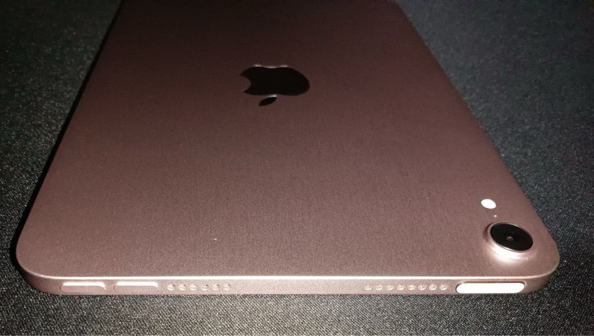 iPad mini Wi-Fi 64GB ピンク 2021年モデル iPad mini 6 保護