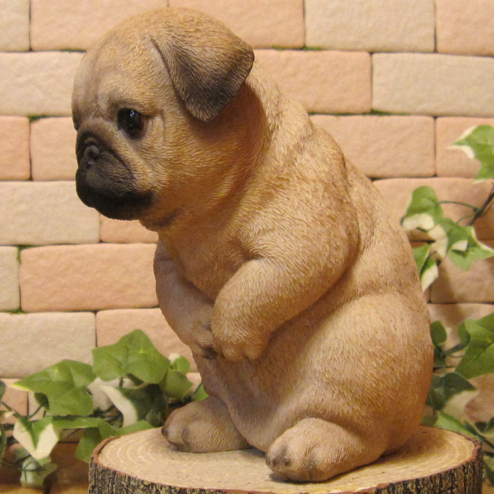  dog. ornament ... none dog Pug real . dog. ornament ... fi gear objet d'art gardening front door resin ceramics 