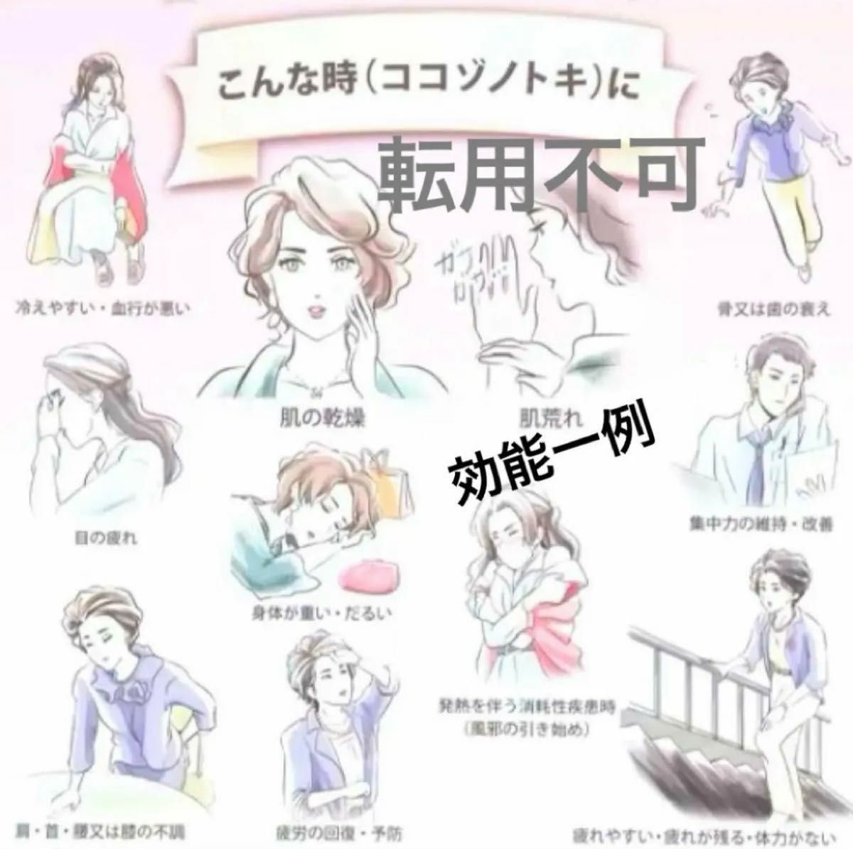 ココゾノトキコさん 3箱 30本 【最新・未開封】専用箱入り 2027 ココゾノトキコさん 3箱 30本 【最新・未開封】専用箱入り 2027